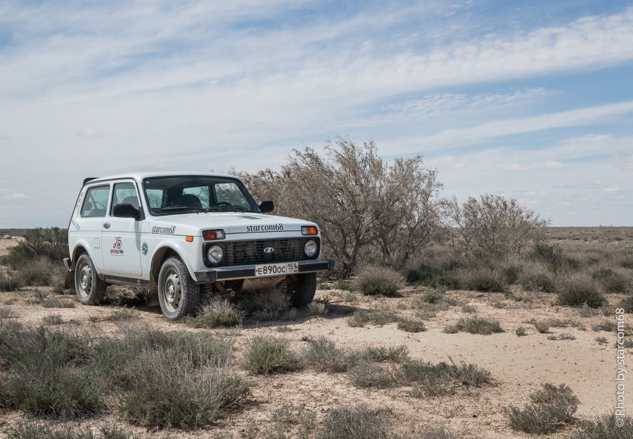 Белка и саксаул