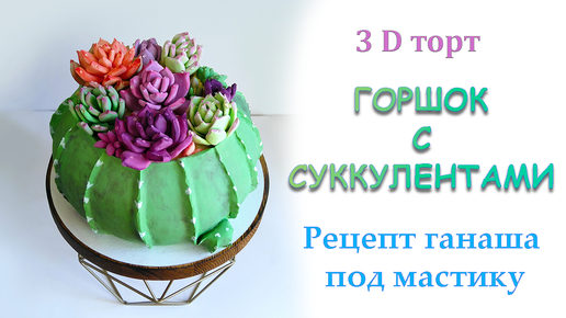 Торт горшок с суккулентами