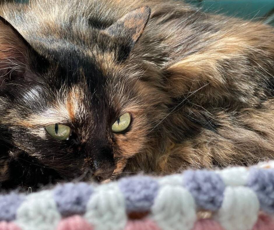 —  Да, разберитесь уже. 