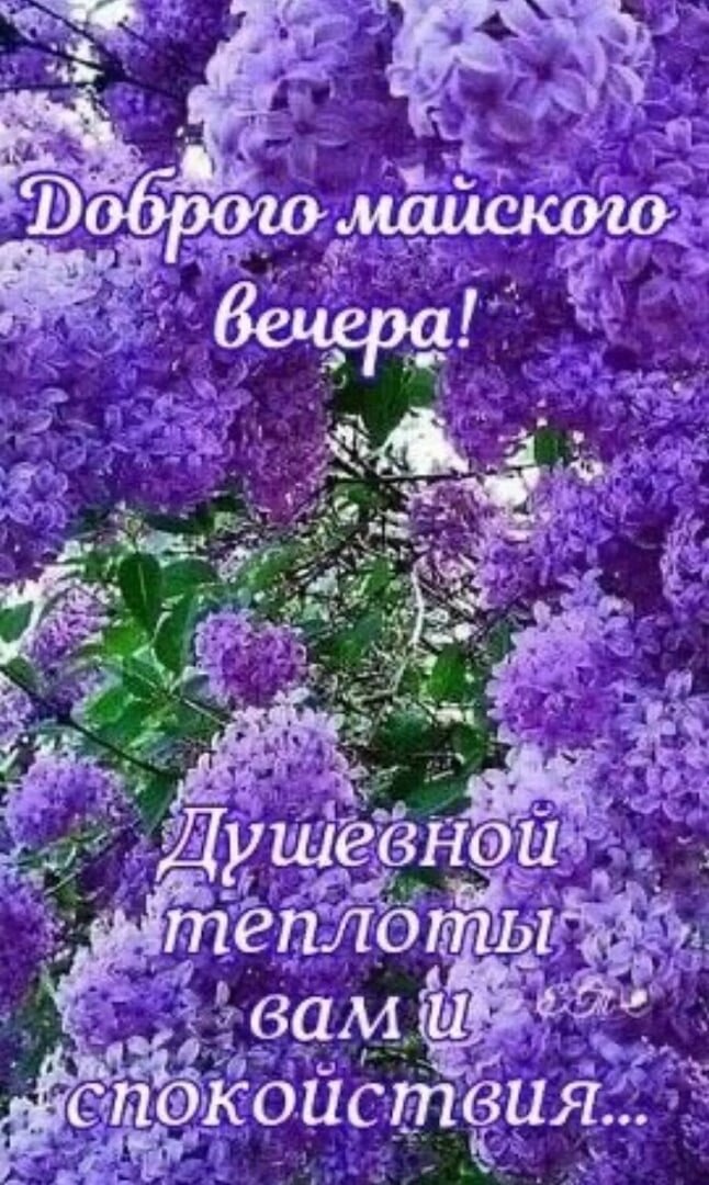 Доброго красивого вечера вам! | ПОЗДРАВЛЕНИЕ | ОТКРЫТКИ | Дзен
