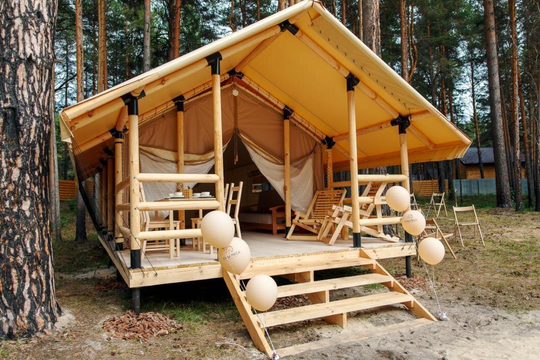 | Фото: снылеса.рф