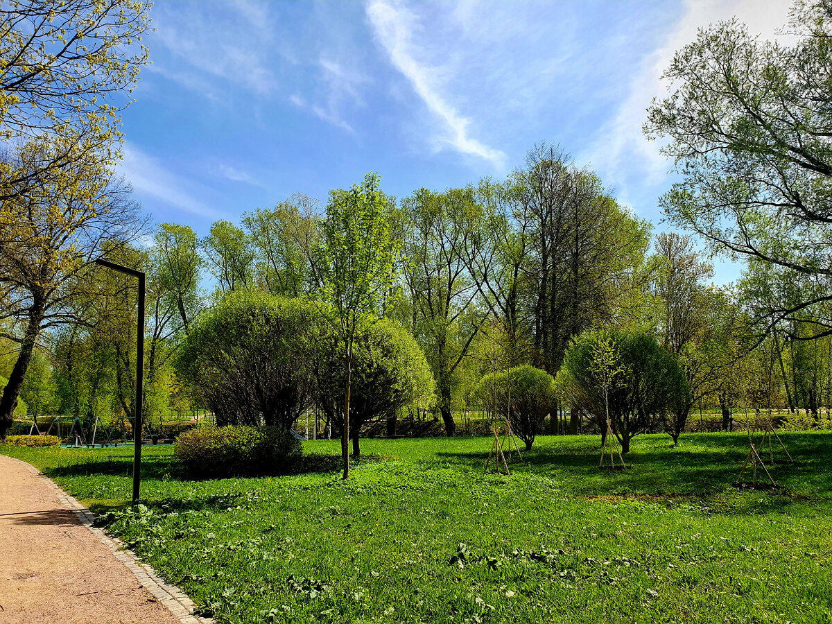 Территория богата на зеленые насаждения, а в Охте некоторые авантюристы даже умудряются рыбачить