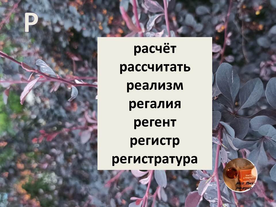 карточки