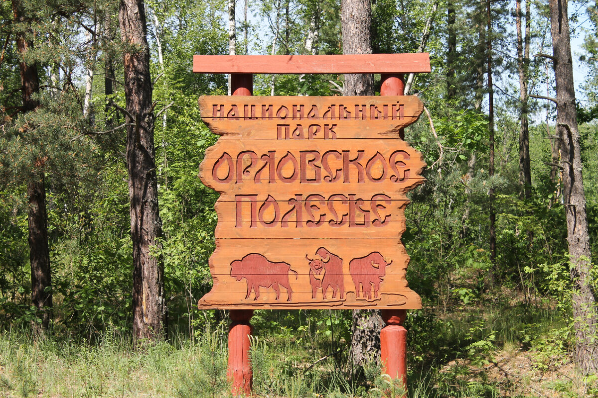 Нац парк Орловское Полесье