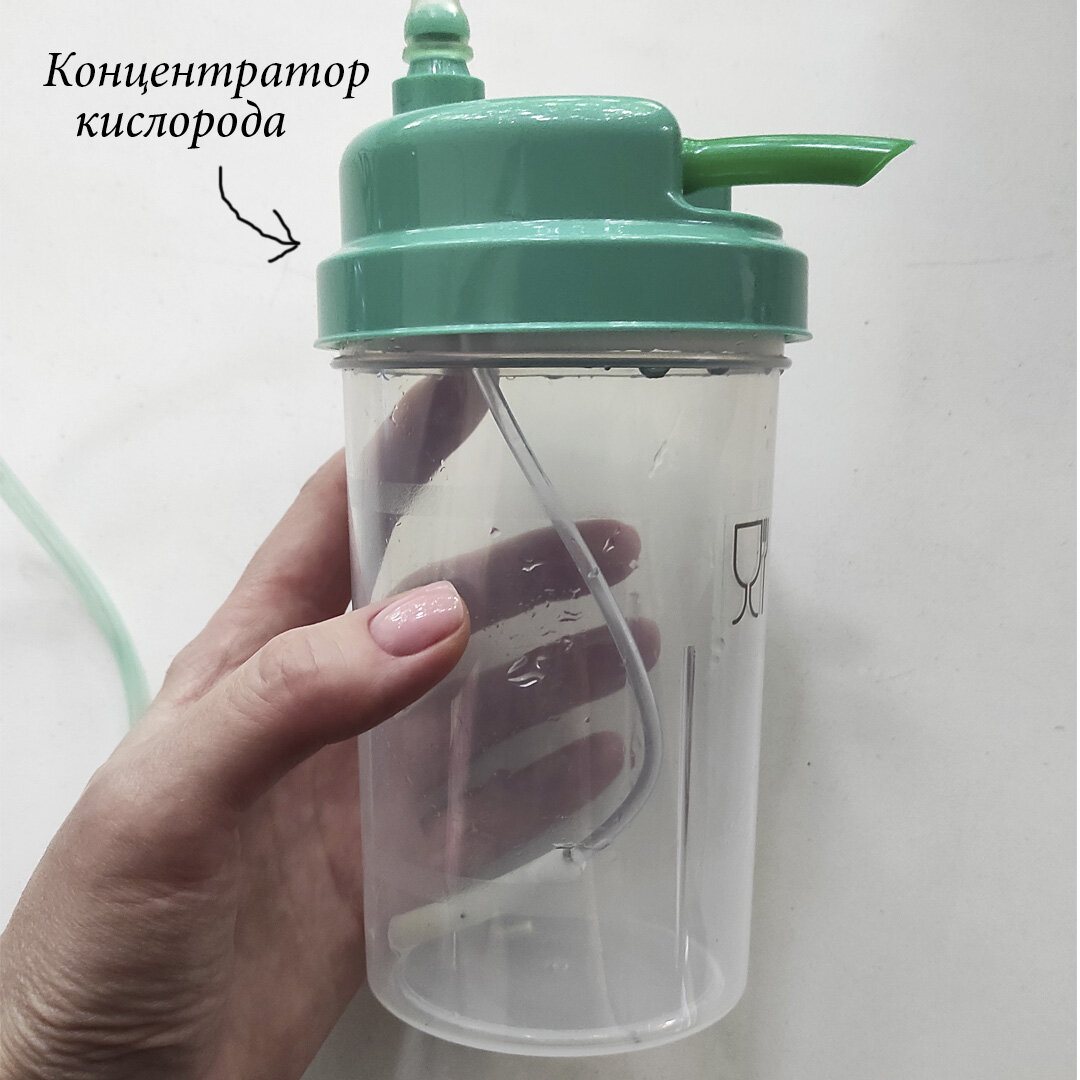Кислородный коктейль в домашних условиях. Бюджетный вариант ...