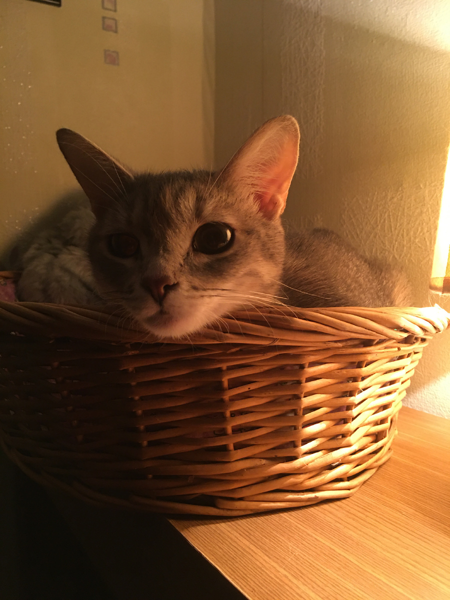 Фото автора