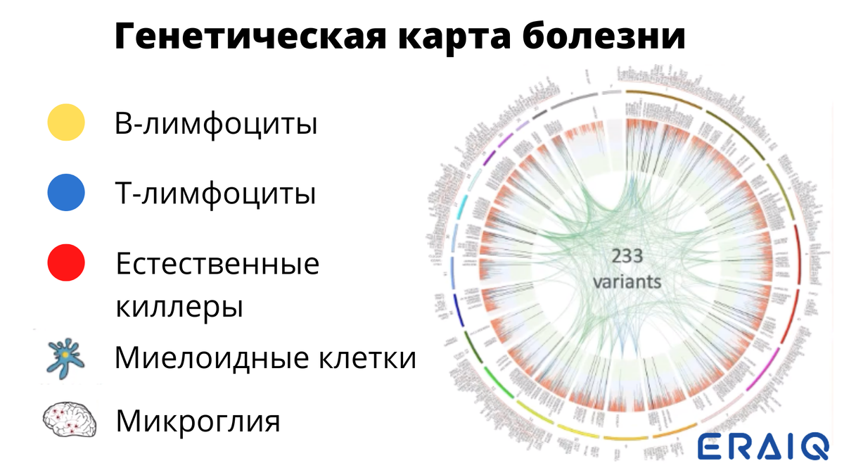 Генетическая карта здоровья