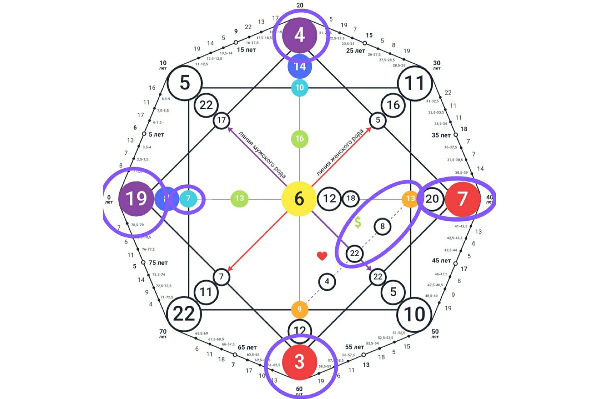 В статье обсудим позиции которые обведены картинке.