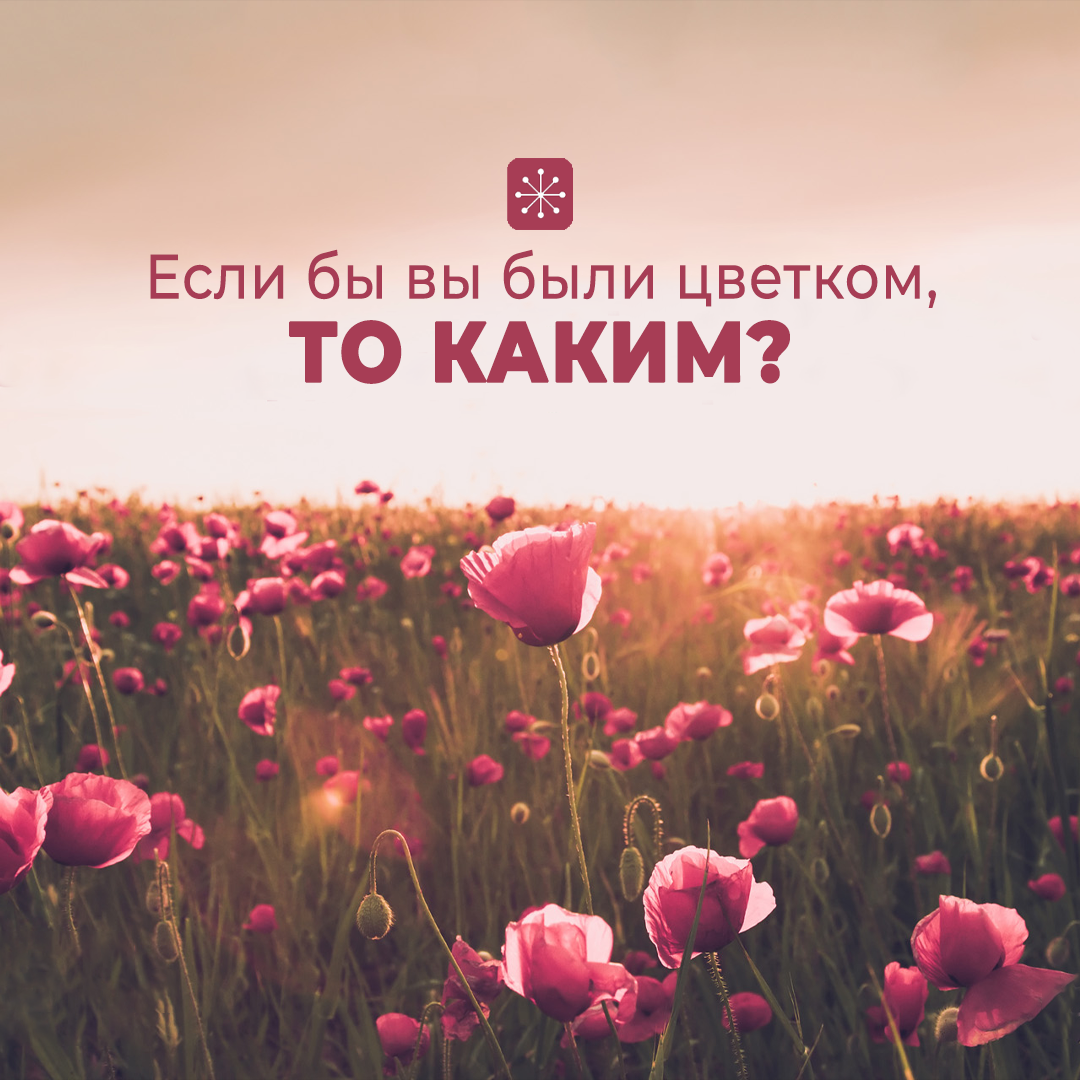 Красивые высказывания о цветах. Высказывания про цветы. Красивые высказывания про цветы. Красивые высказывания о цветах. Женщина и цветы высказывания.