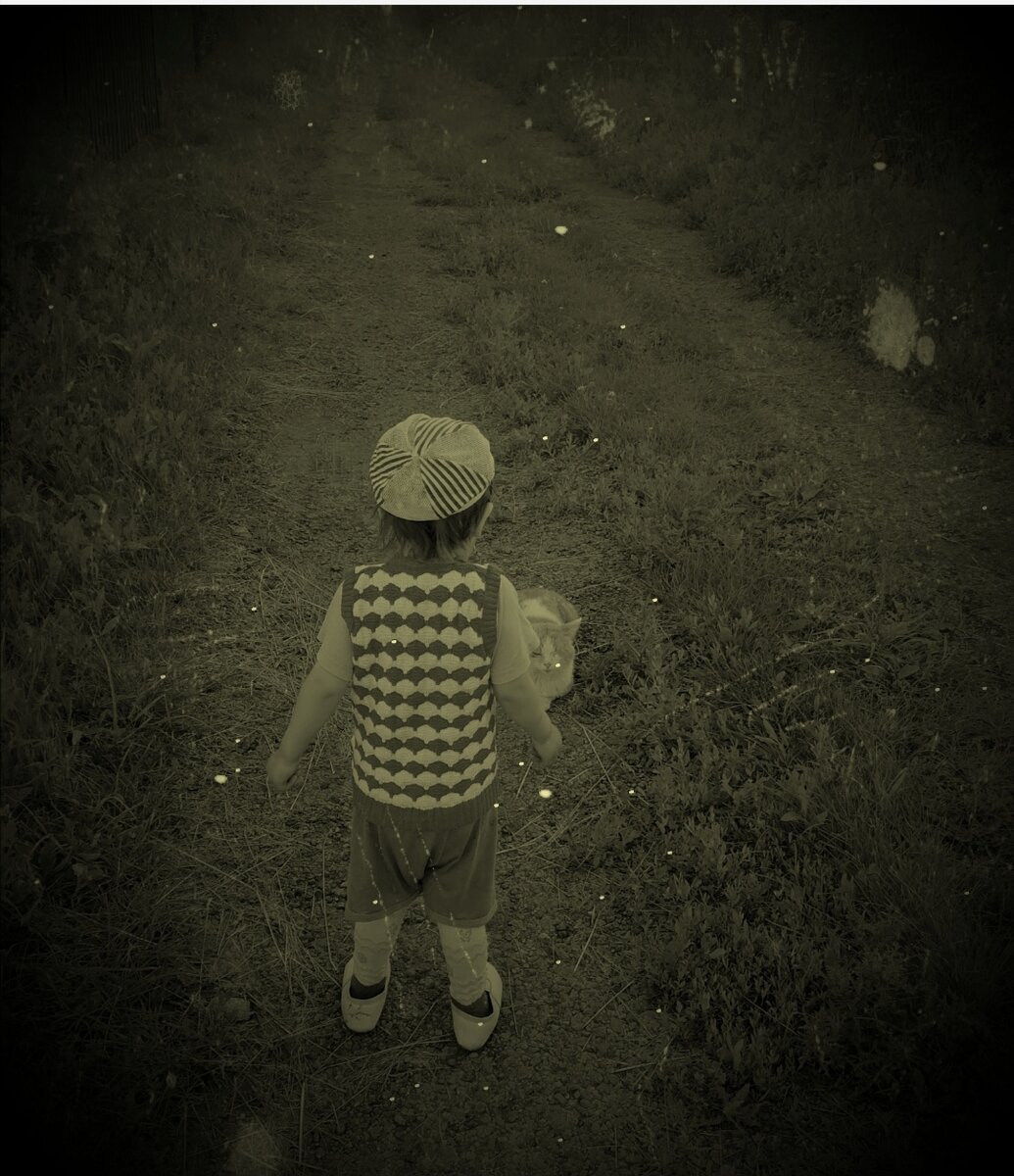 Встреча с котом