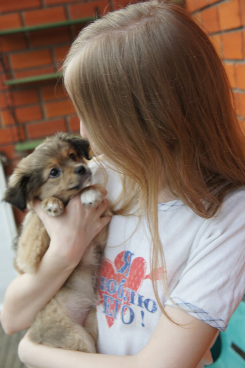 Вот такой была маленькой Джуля. Здесь она уже немного подросла , окрепла и отъелась. С какой любовью и преданность смотрит Джуля на свою спасительницу.