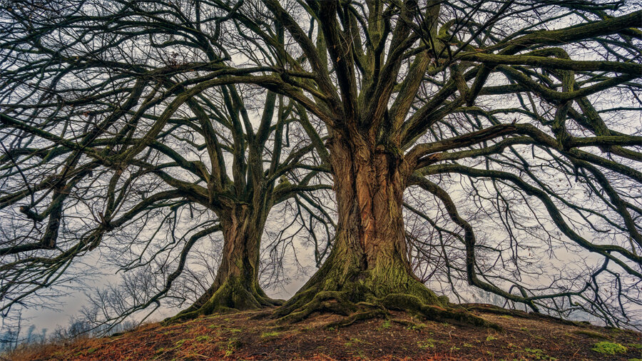 Фото: Johannes Plenio, Pexels