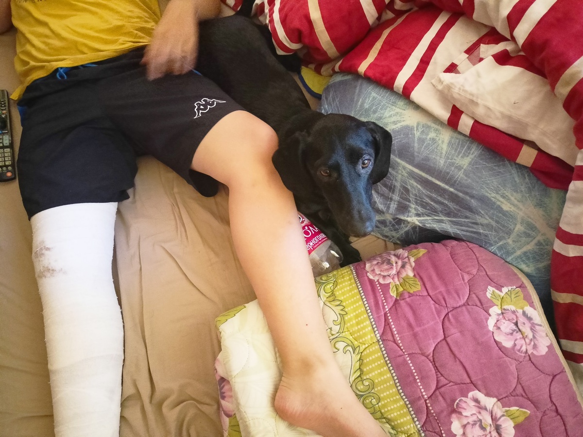 "Я лучше помогаю, чем все ваши таблетки и буду лежать рядом пока маленький хозяин не поправится!"