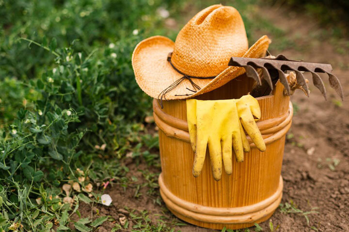 Фото: ru.freepik.com