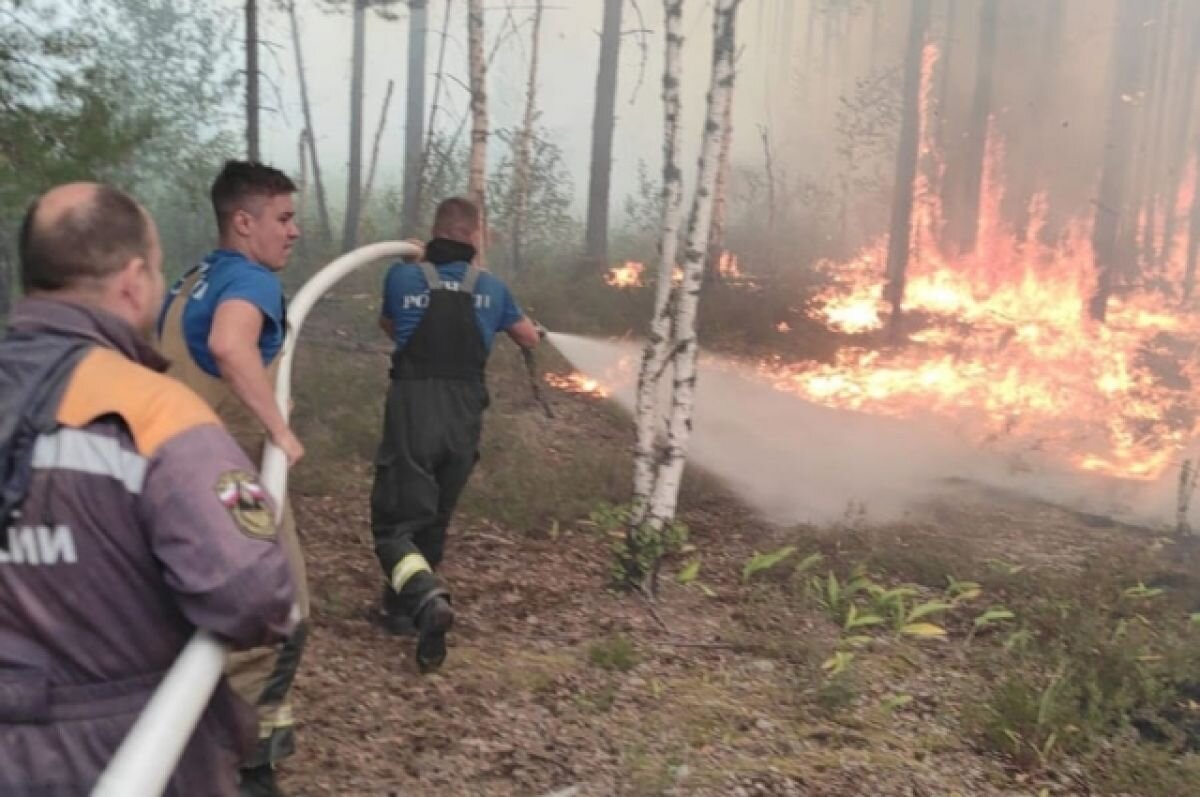    До 30 га снизилась площадь активного горения в лесах Воротынского района