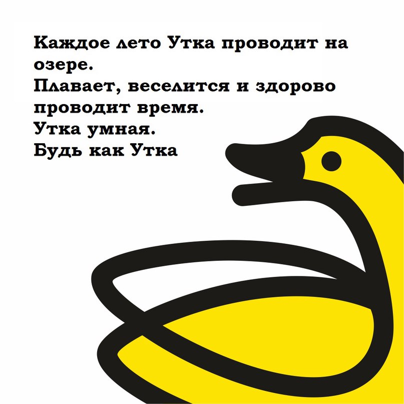 Дай уточку. Умный как утка. Мудрая утка. Умная как уточка. Фразы про уток.