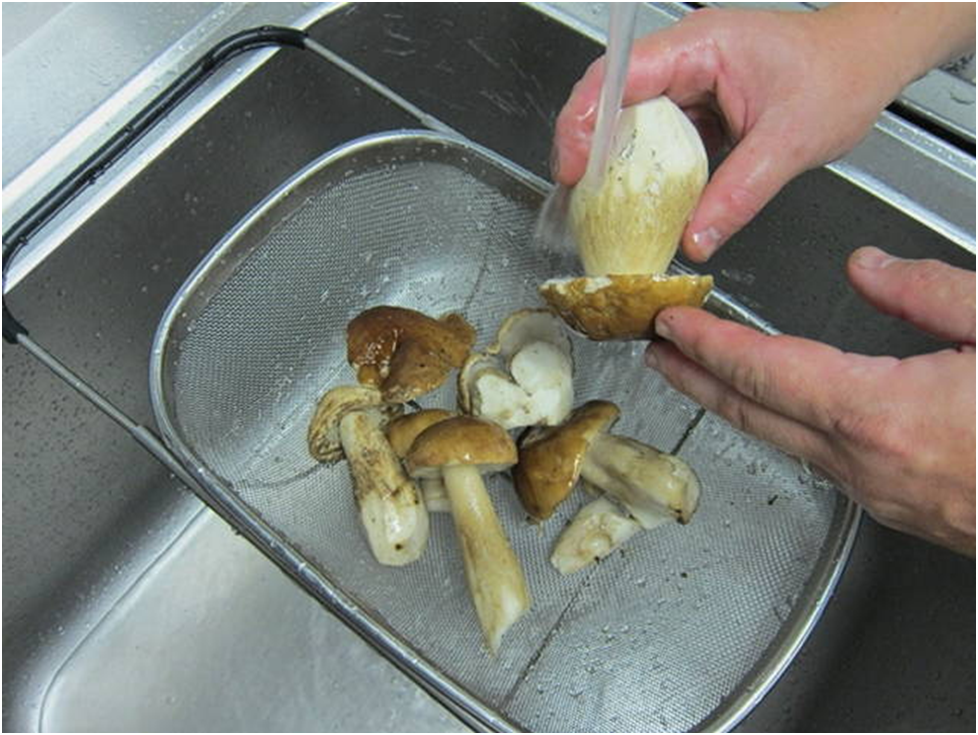 Нужно мыть грибы. Переработанные грибы. Обработка маринованных грибов. Первичная обработка грибов. Кулинарная обработка грибов.