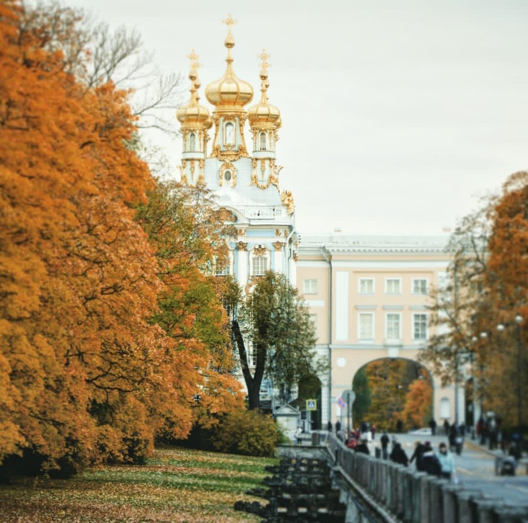 Петербург Смольный собор осенью красивые фото