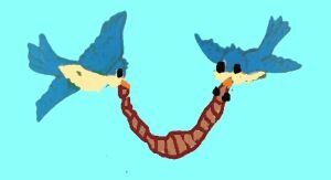 Как я летал с птицами