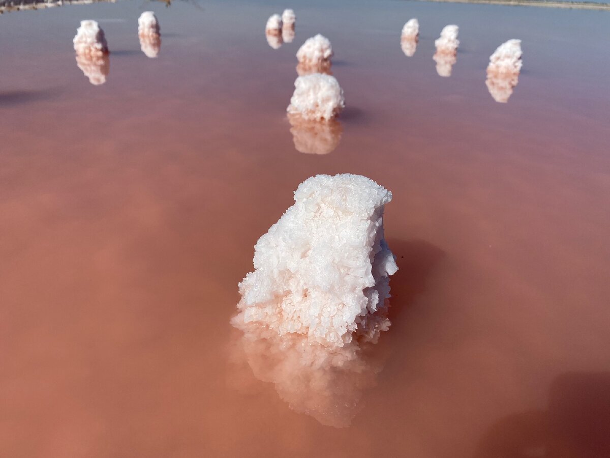 Фото с сайта: https://celes.club