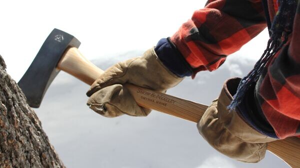   CC BY 2.0 / Sterling College / Axe