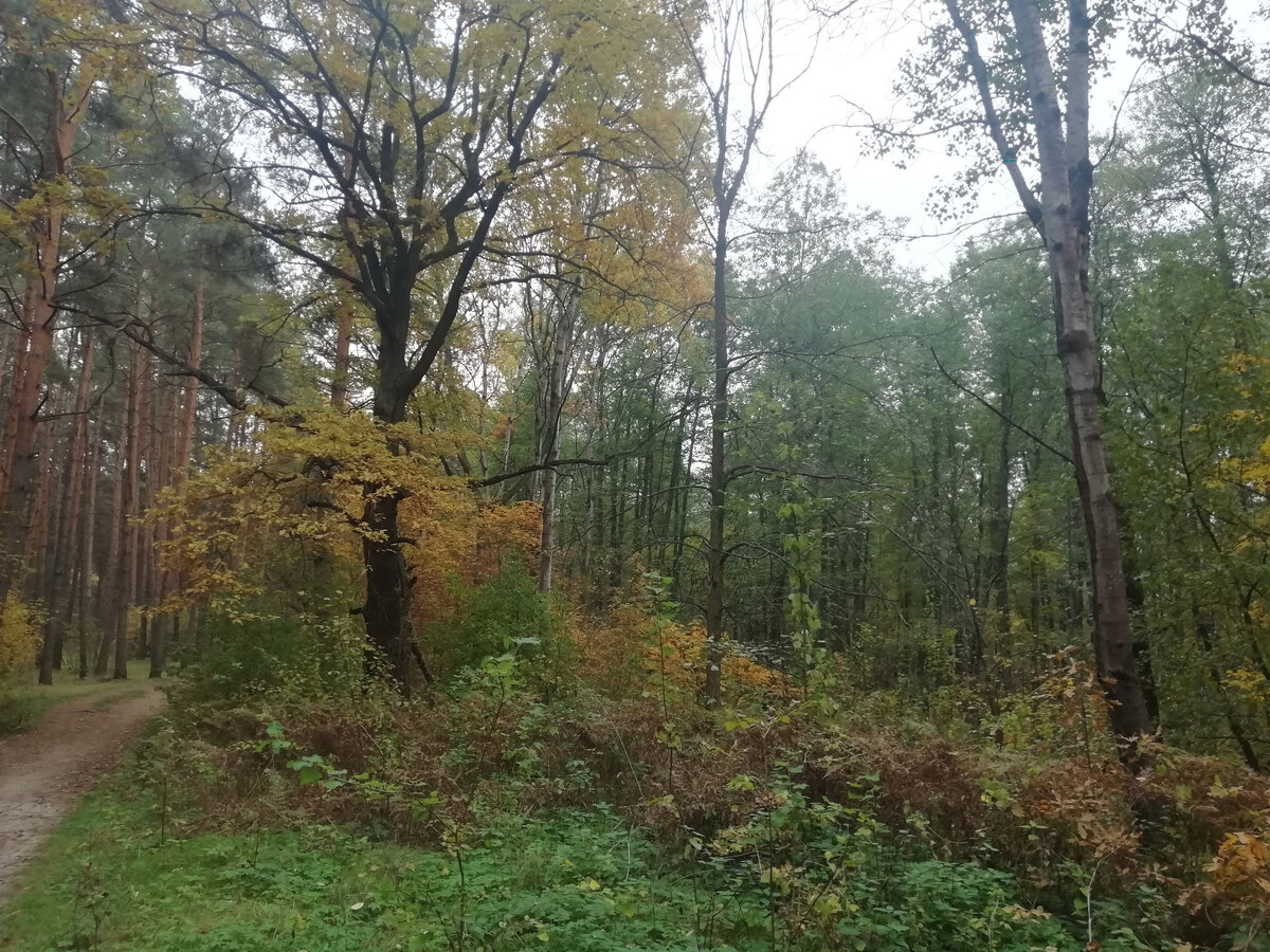 Фото автора канала NikI Photostory