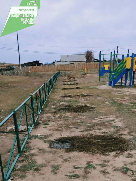     фото: пресс-служба РАЛХ