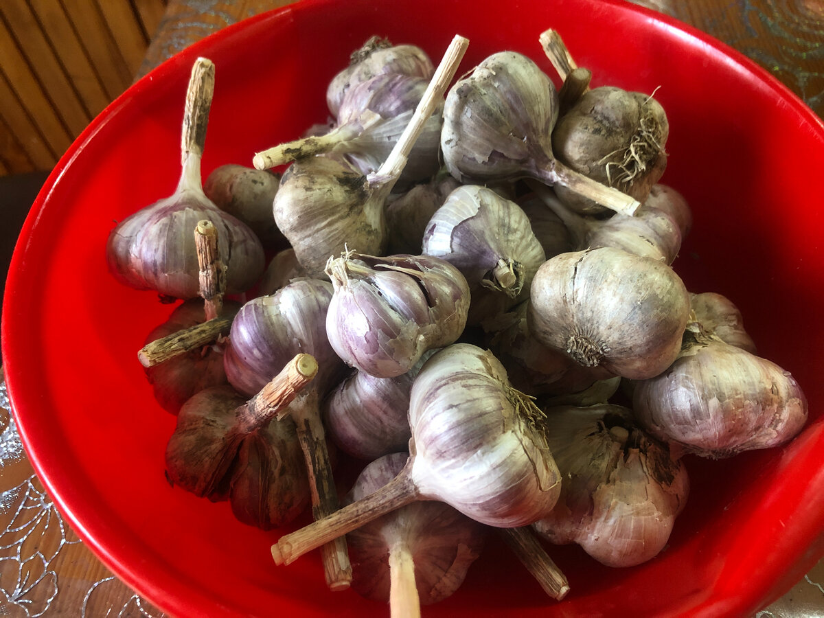 сколько будет,столько и будет зубков