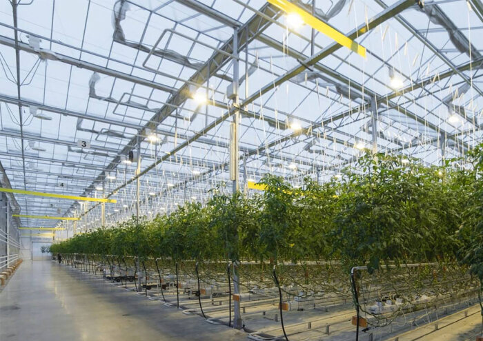 Фото телеграмм-канал полпредства ДФО