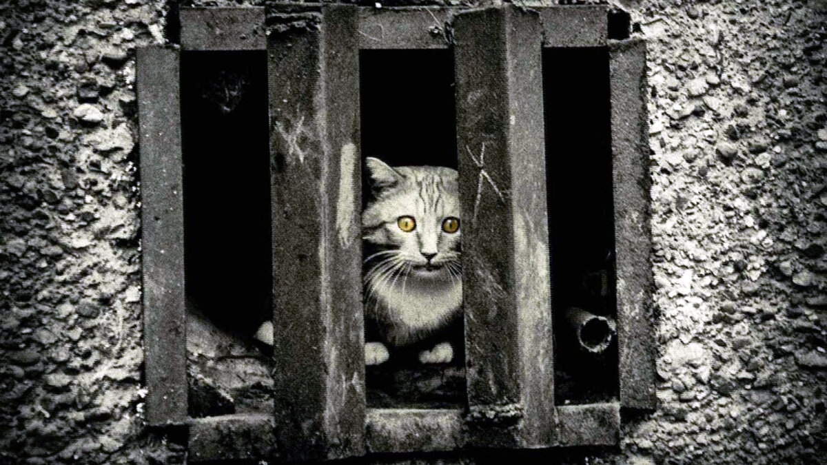 источник фото: mycdn.me