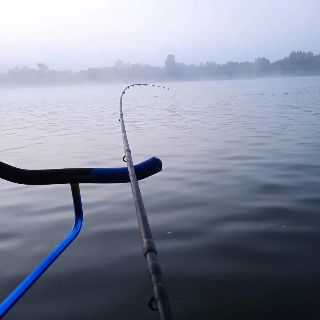 Поклевка, подсечка, подсачек. | Fishing on Don/Рыбалка на Дону и не только!  | Дзен