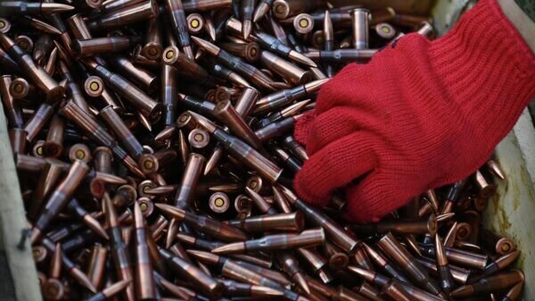   © РИА Новости . Евгений Биятов