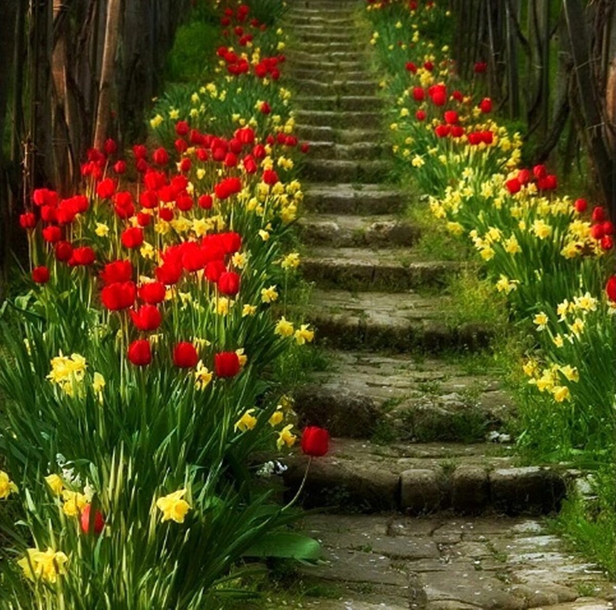 Третий лишний | Георгий Жаркой | Дзен