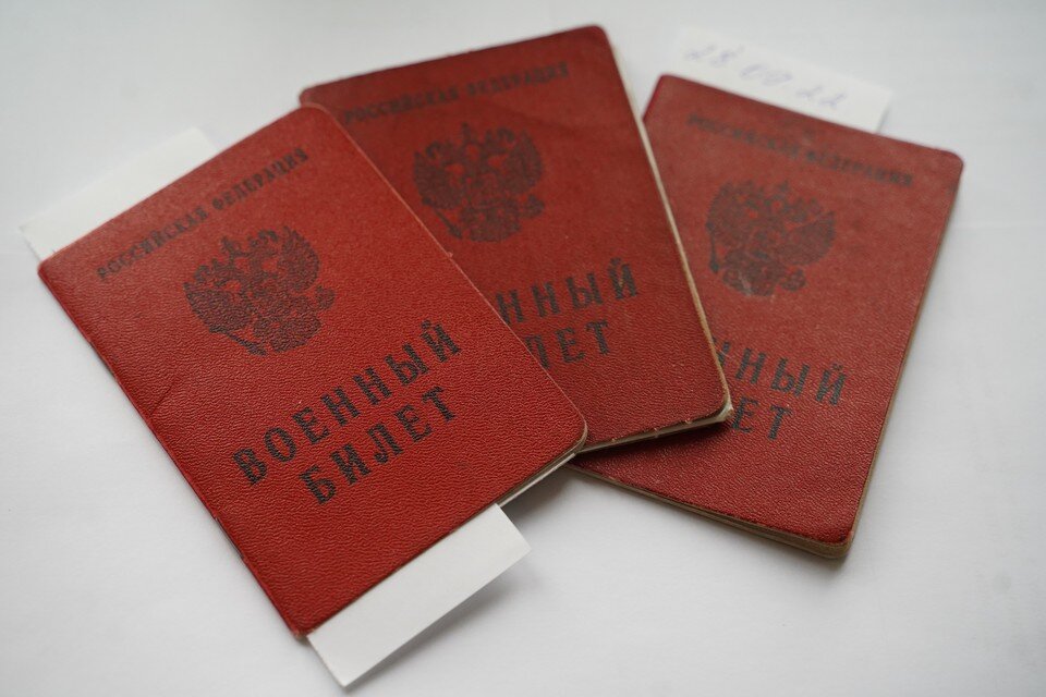     Зампрокурора проведет прием граждан по вопросам мобилизации Светлана МАКОВЕЕВА