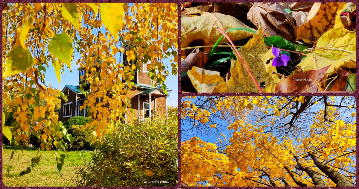 Осень в Гомеле. Беларусь. 17.09.2022