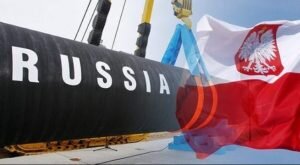    Фото: teknoblog.ru Наталья Анисеева