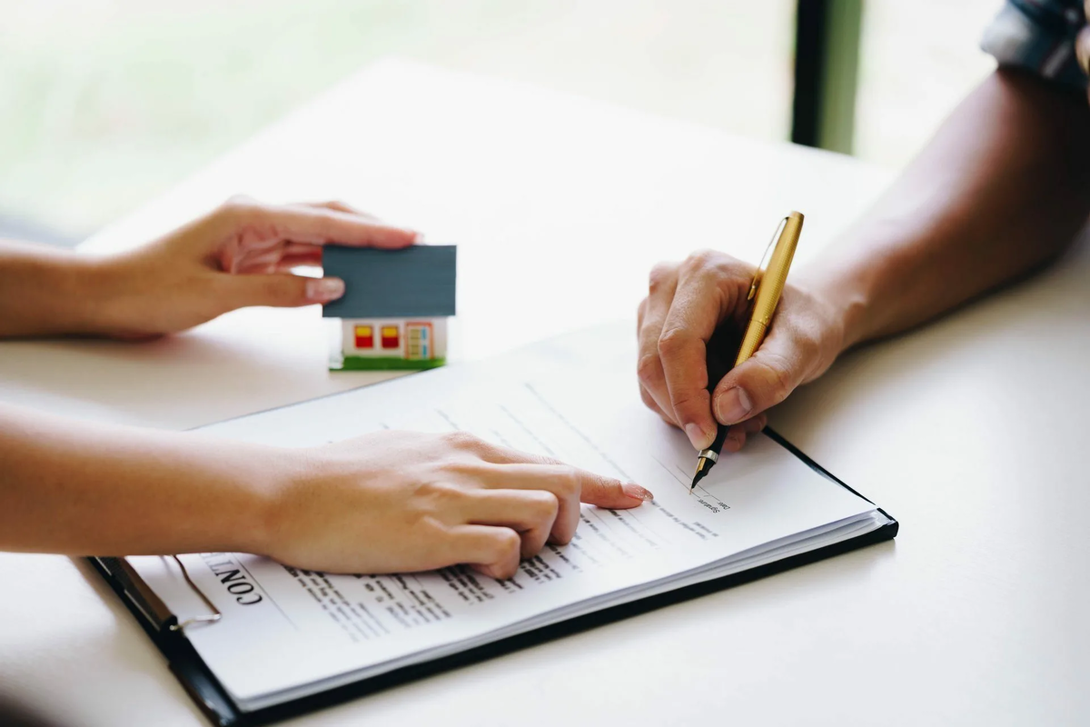 изображение: Freepik.com