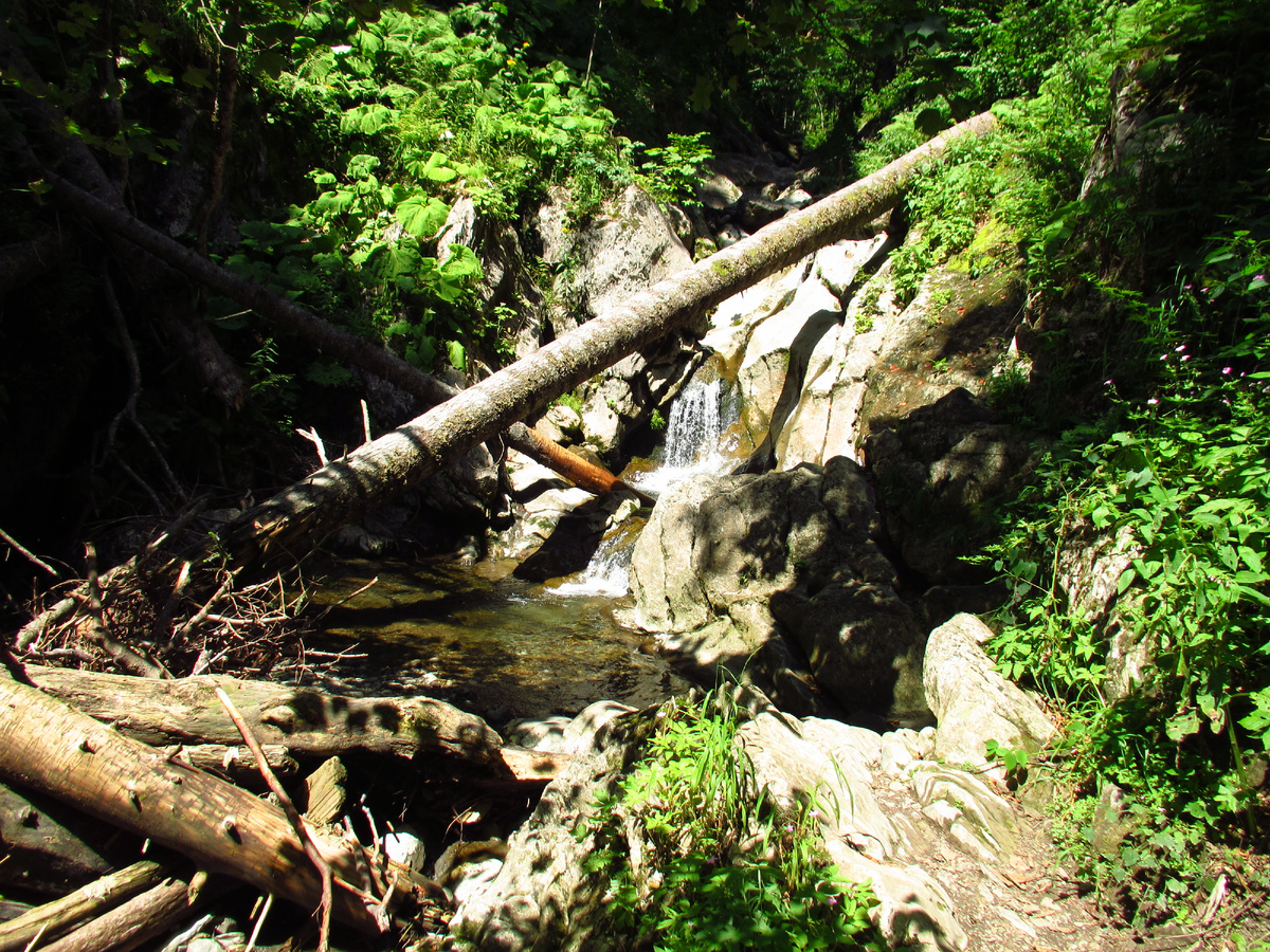 Лесные пейзажи в парке водопадов Менделиха