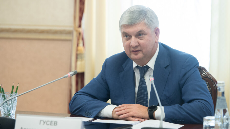   Автор фото: пресс-служба правительства Воронежской области