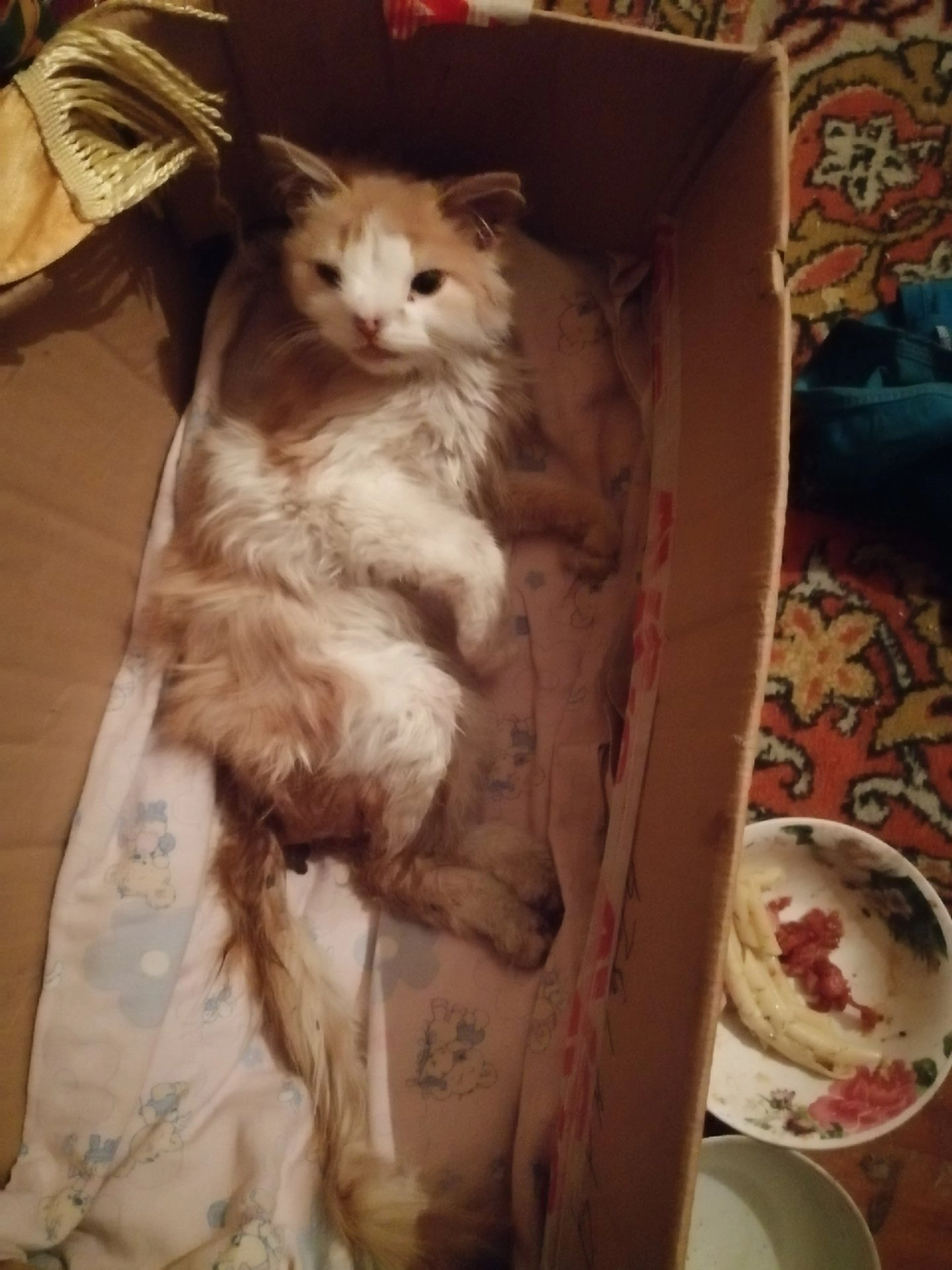 Таким я увидела его впервые.. 