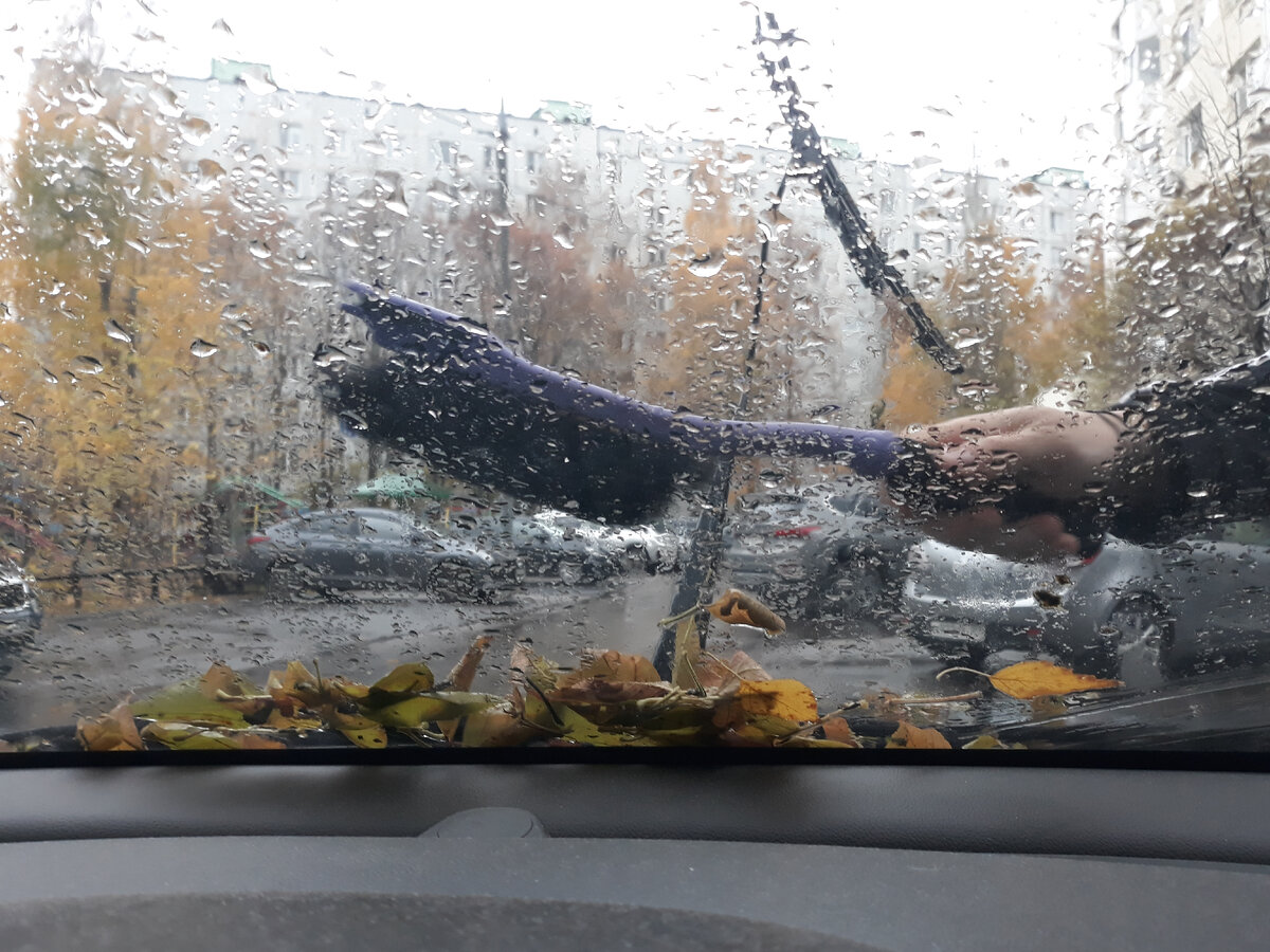 Муж сметает листики... 