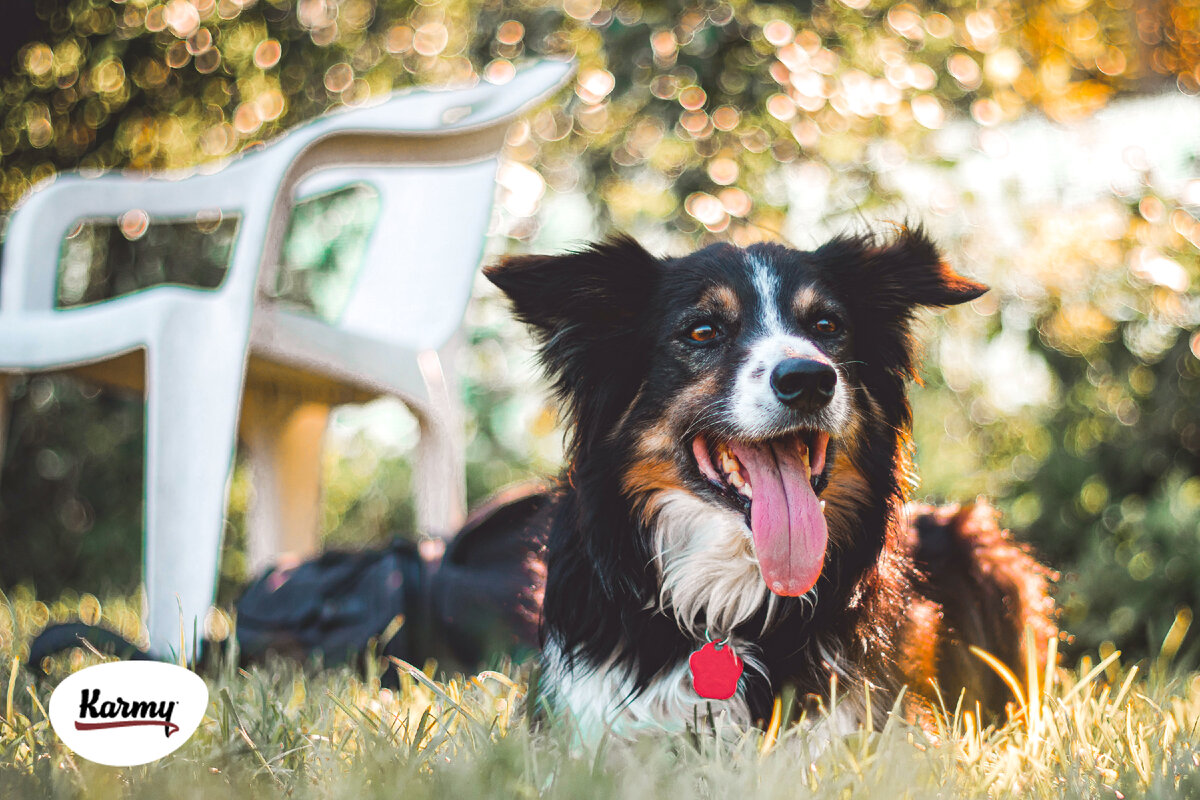 Авторское изображение с использованием картинки с фотостока "Unsplash"