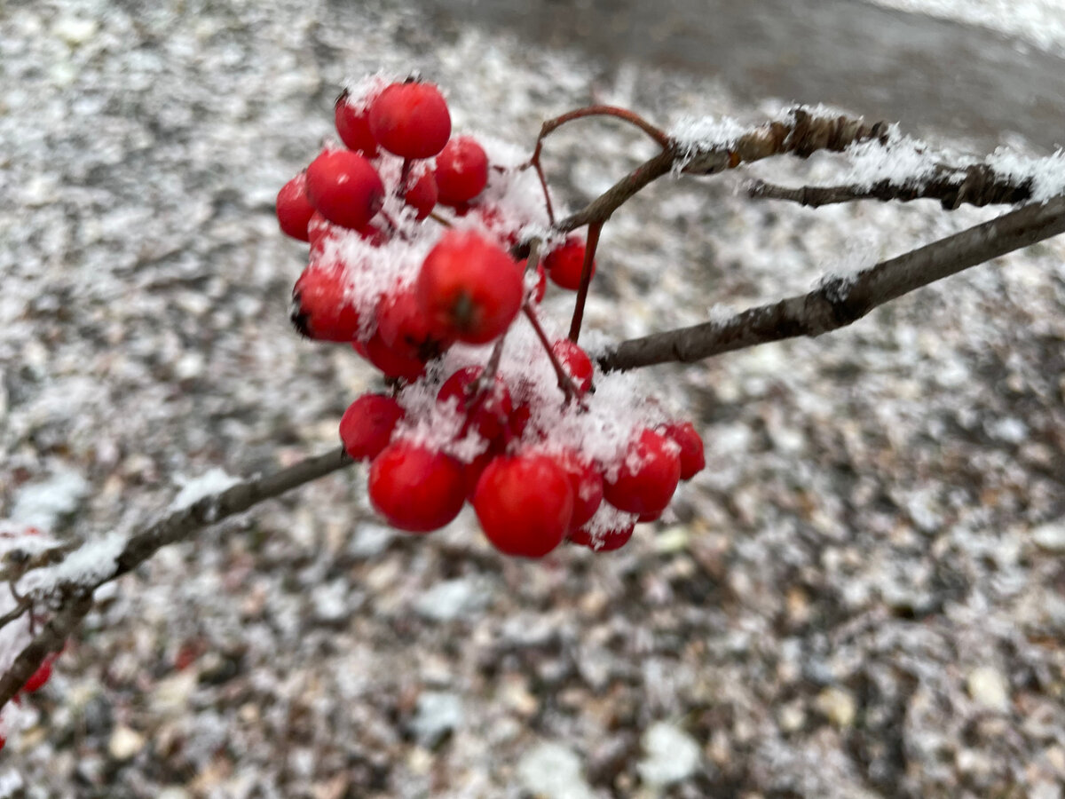 Фото автора канала NikI Photostory 