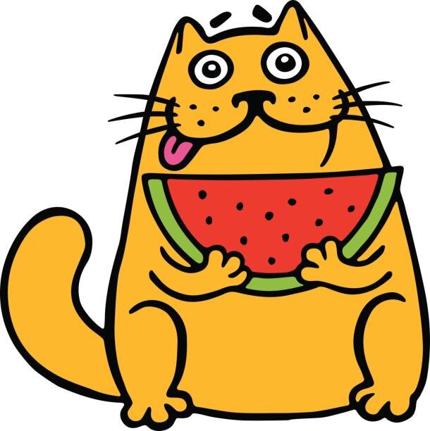 Изображение взято в свободном доступе с просторов интернета. 