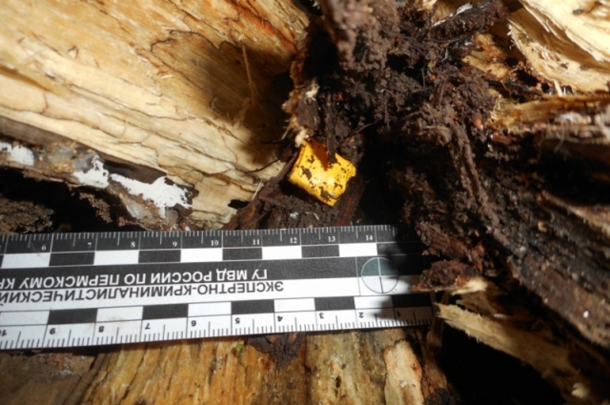    В Кунгуре полиция нашла 61 тайник-закладку, спрятанные наркодилерами