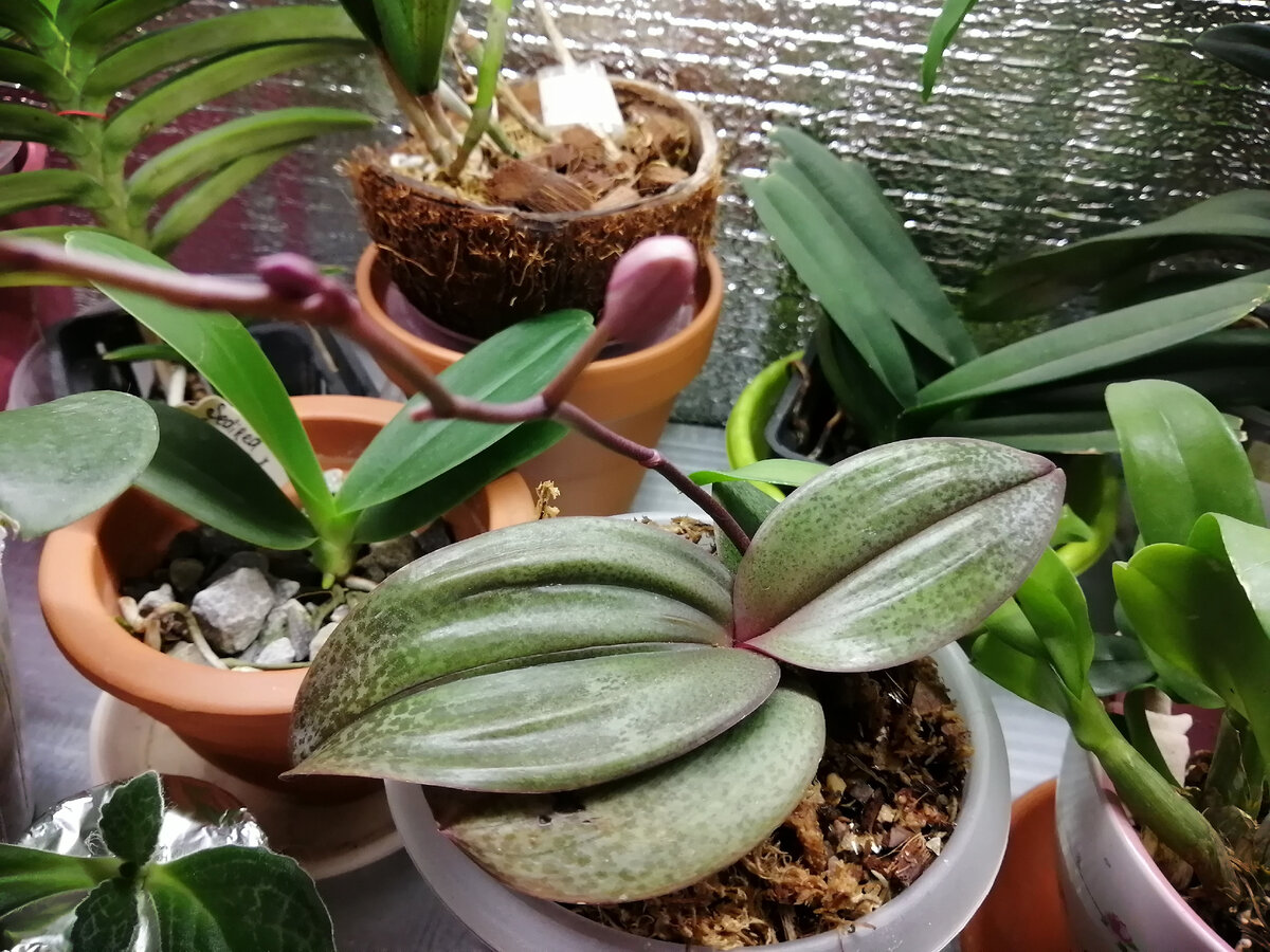 Фото Татьяны Семёновой