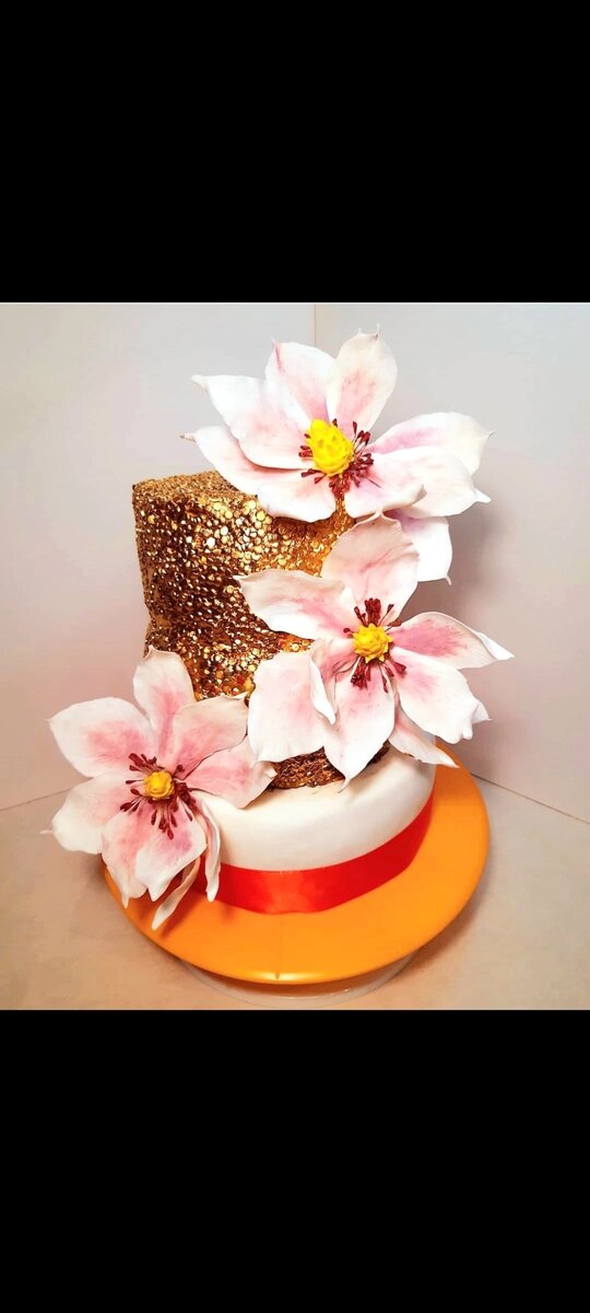 Фото автора. 2020г. Не смотрим на магнолии и подложку! 