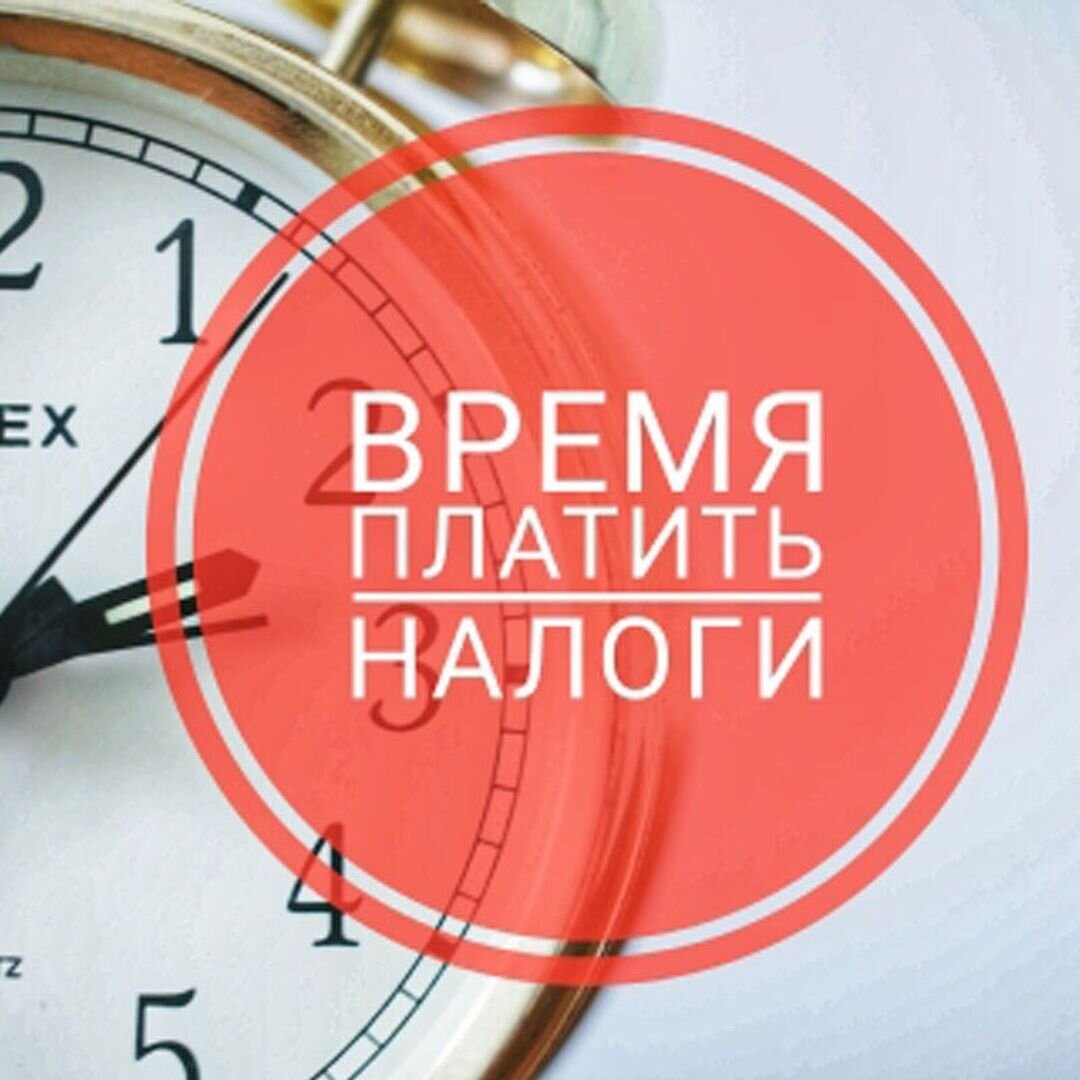 До какого надо оплатить налоги. Время платить налоги. Плати налоги. Платите налоги вовремя. Заплати налоги.