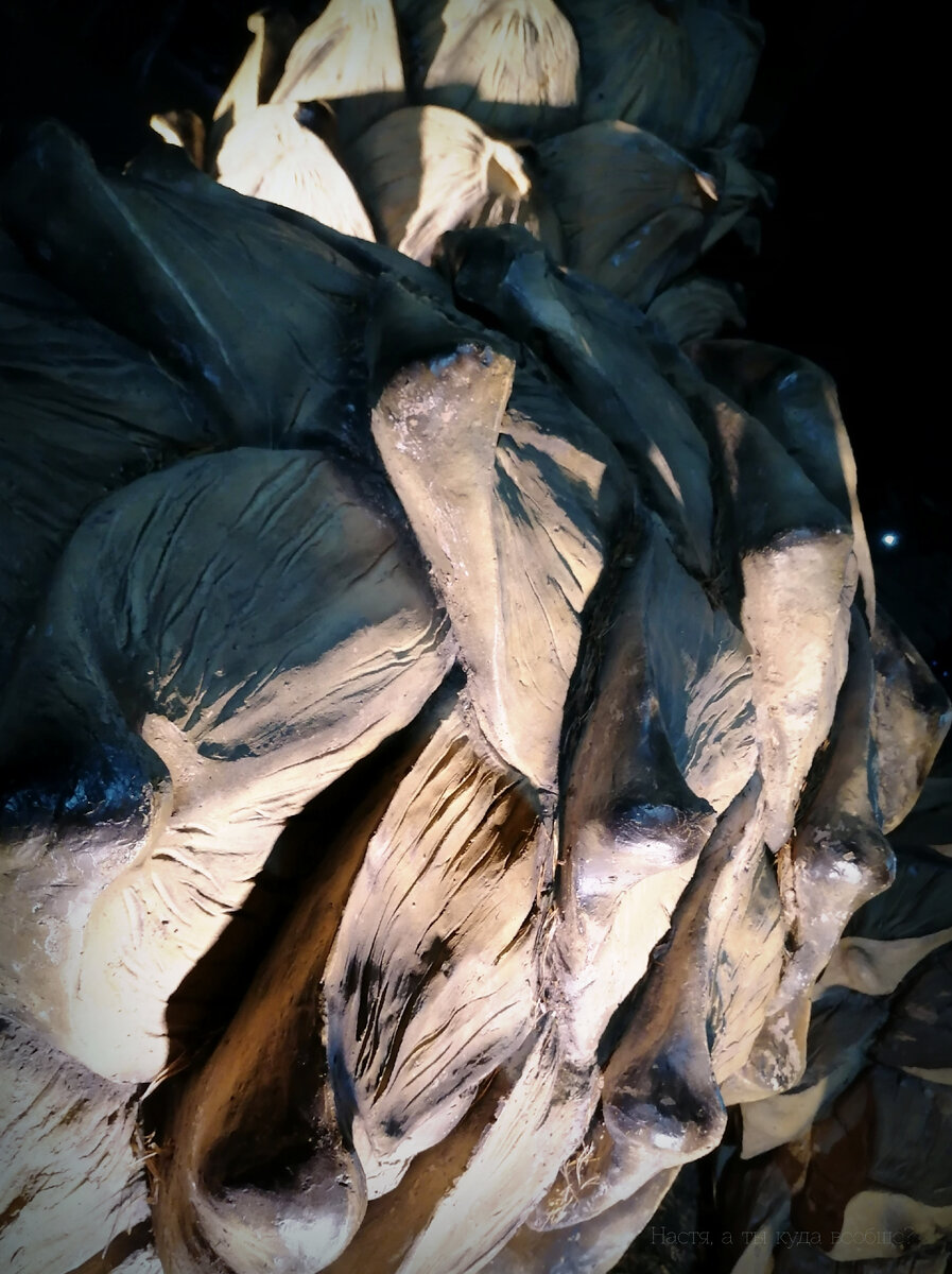 Первая загадочная - сколько шишек я нашла, угадаете? 😁