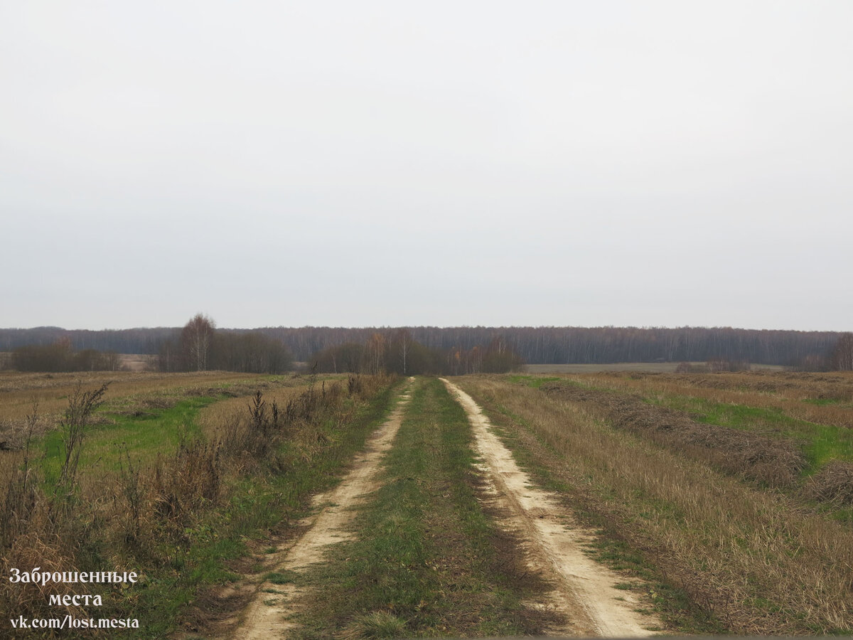 Дорога к церкви. Фото автора.